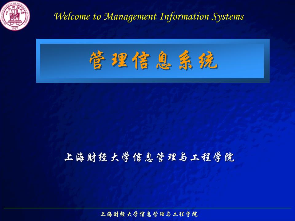 第10章信息系统的开发与实施幻灯片.ppt